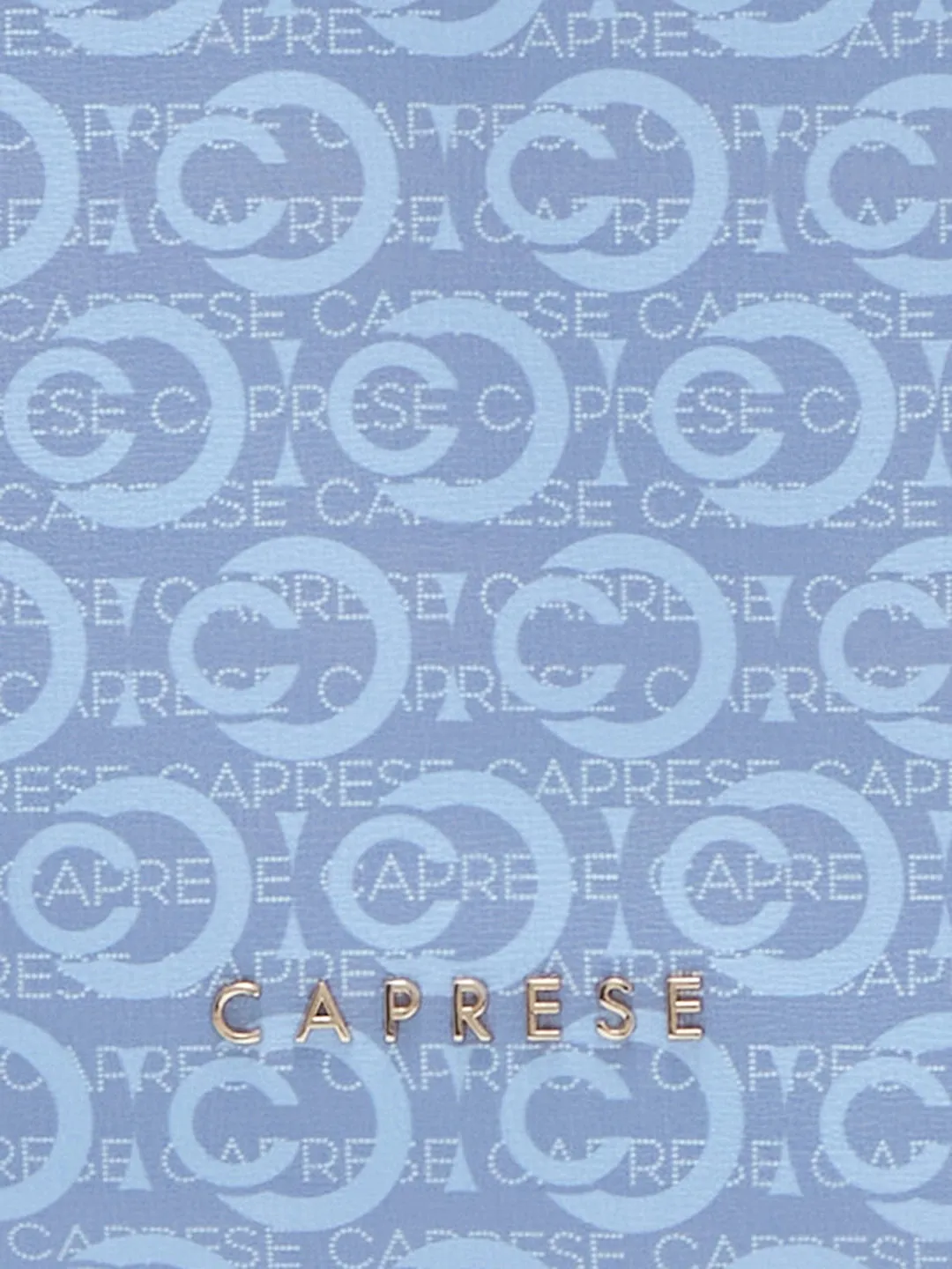 Caprese Cleo Laptop Backpack Large Powder Blue