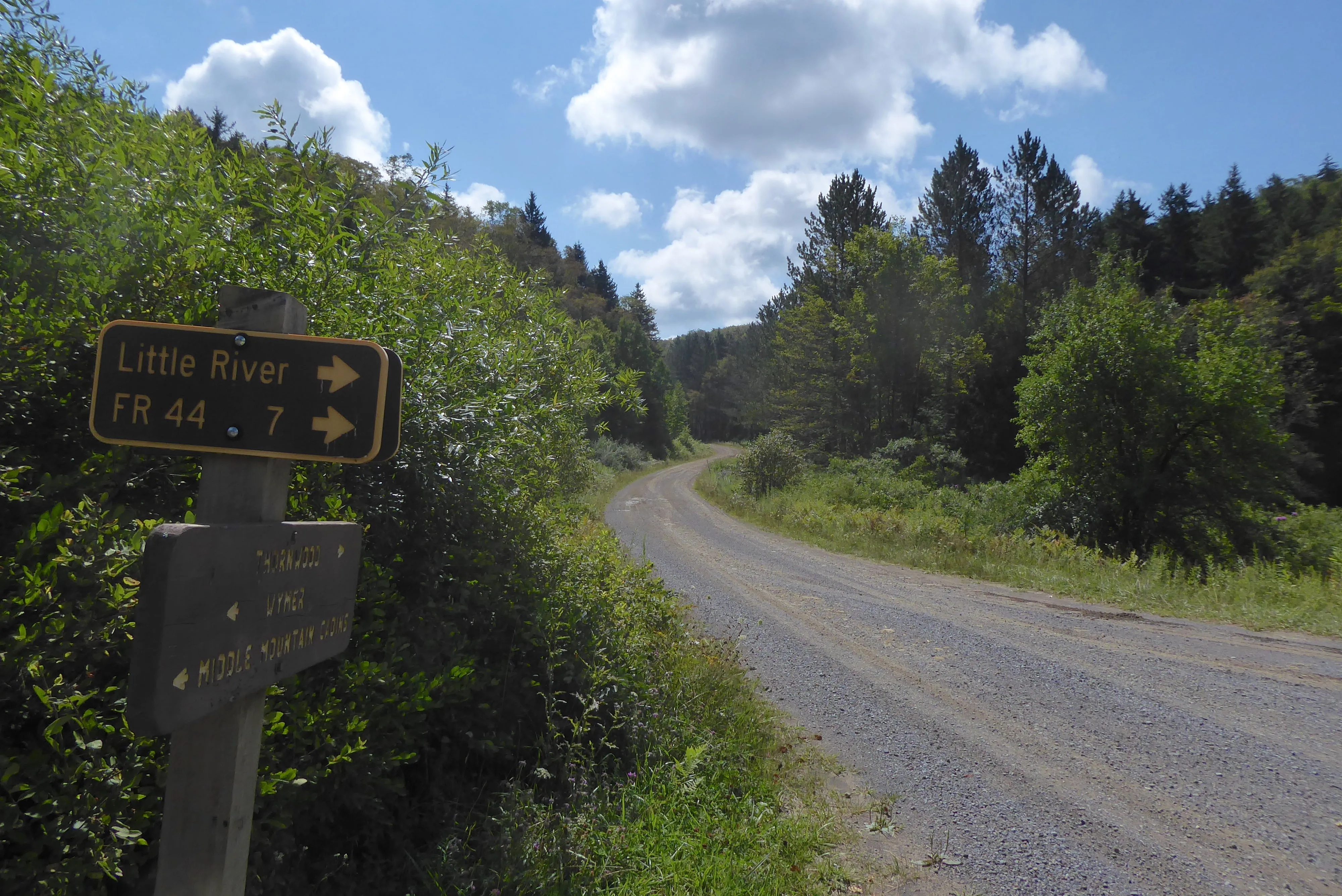 Elkins-Otter Creek Lizard Map: West Virginia
