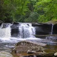 Elkins-Otter Creek Lizard Map: West Virginia
