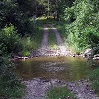 Elkins-Otter Creek Lizard Map: West Virginia