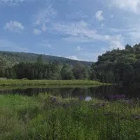 Elkins-Otter Creek Lizard Map: West Virginia