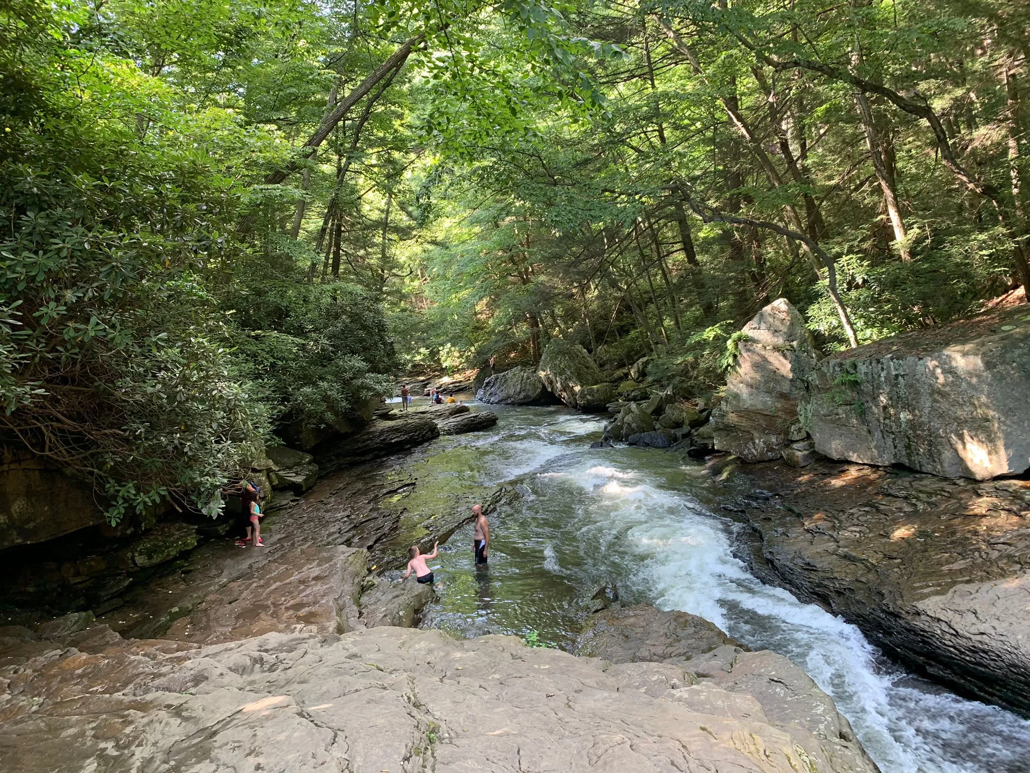 Ohiopyle-Laurel Highlands Lizard Map: Pennsylvania