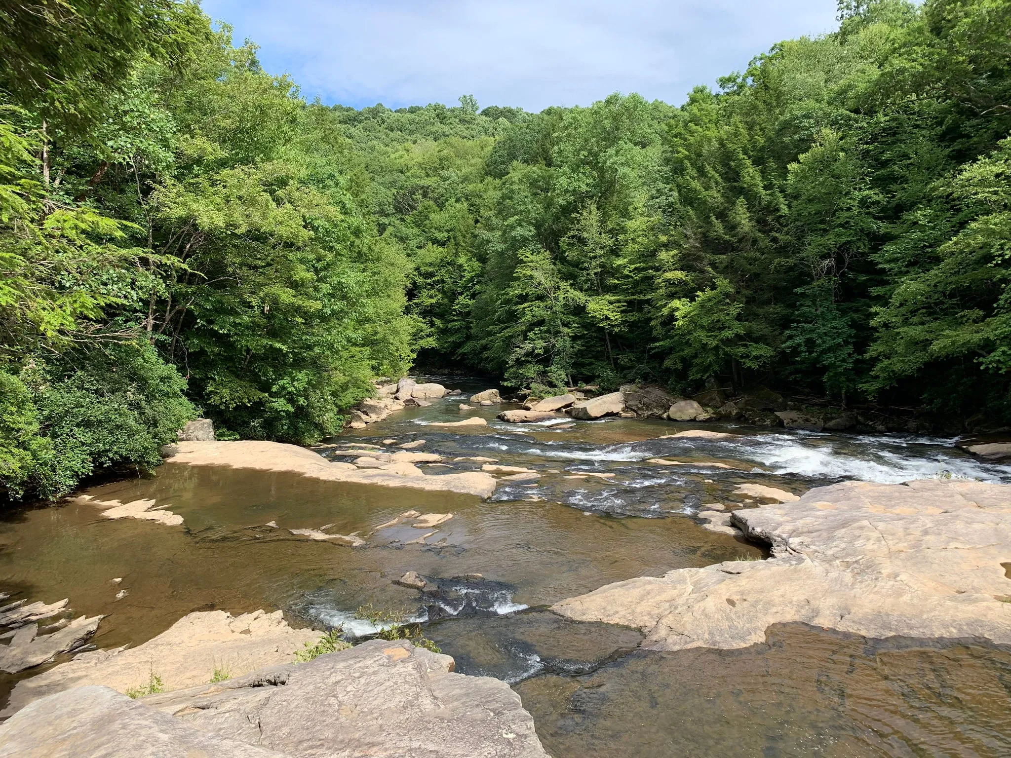Ohiopyle-Laurel Highlands Lizard Map: Pennsylvania