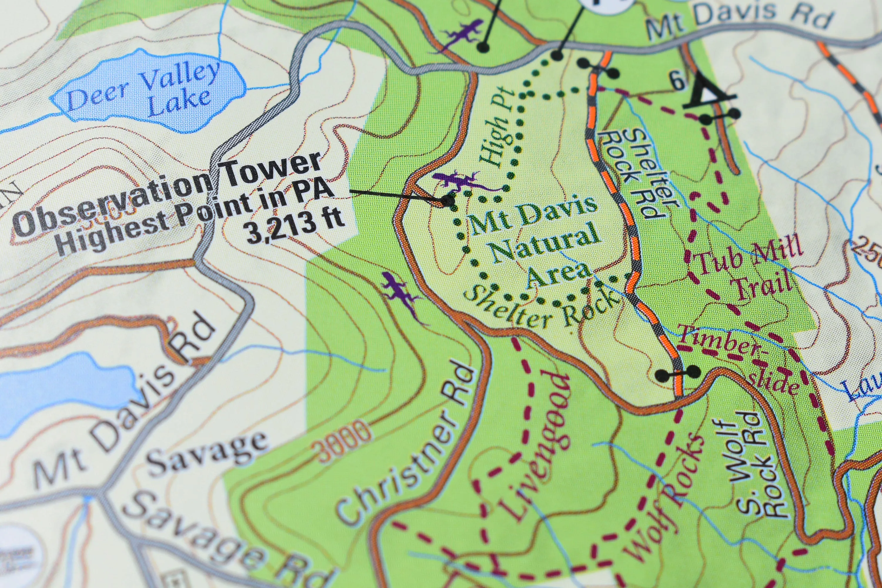 Ohiopyle-Laurel Highlands Lizard Map: Pennsylvania