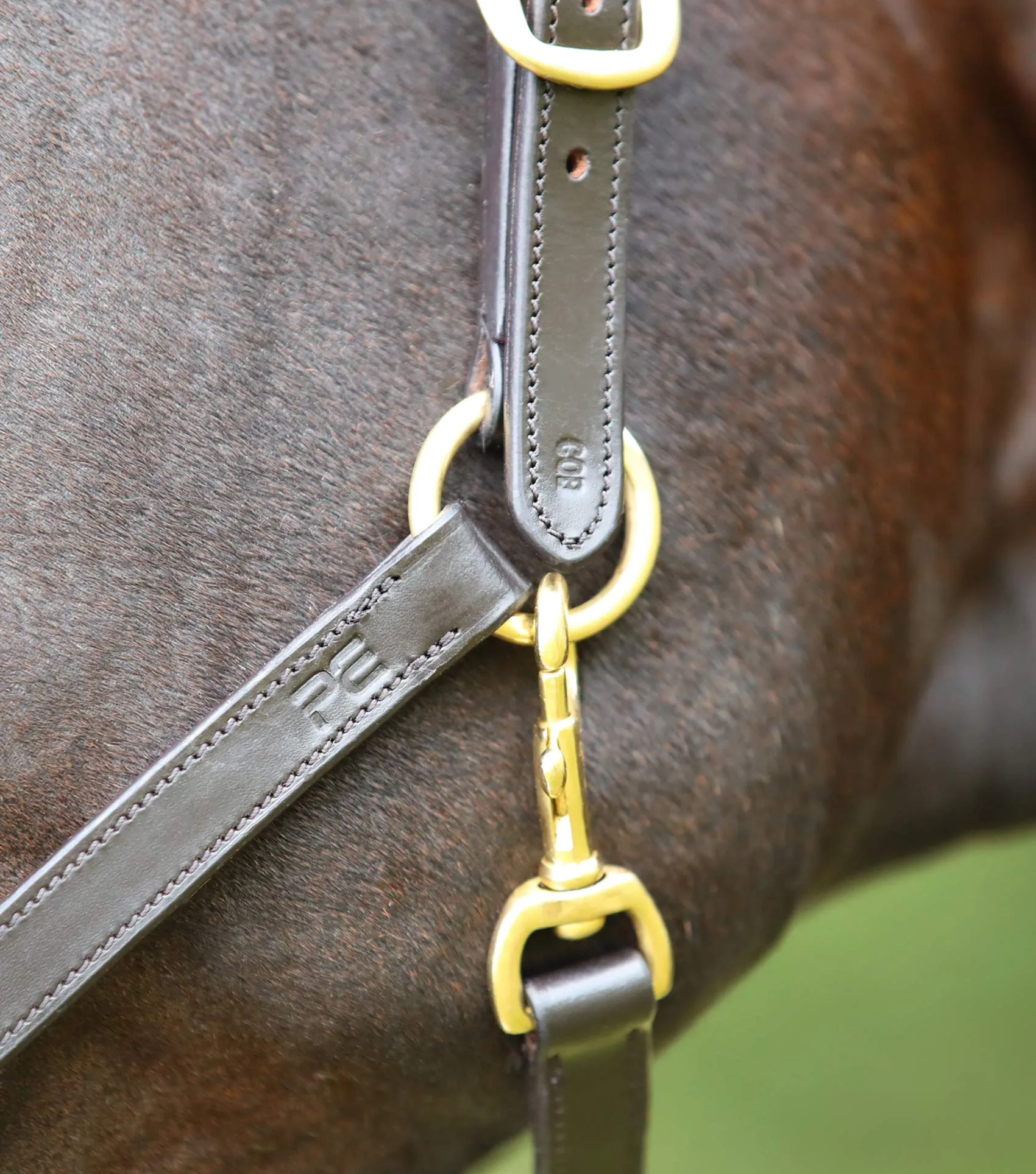 Pasco Plain Leather Head Collar Brown