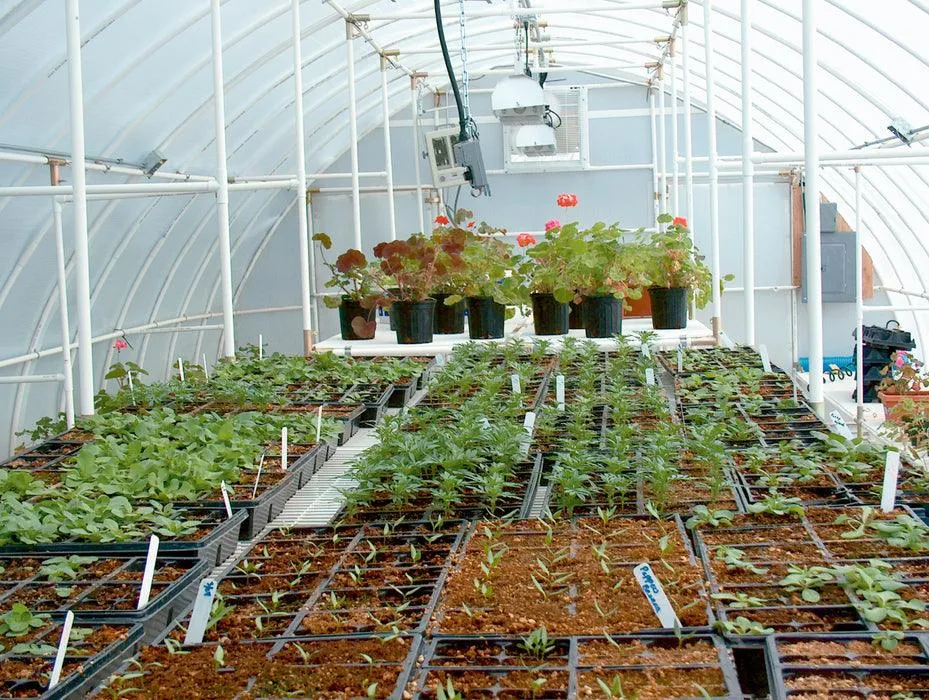 Solexx Conservatory Greenhouse