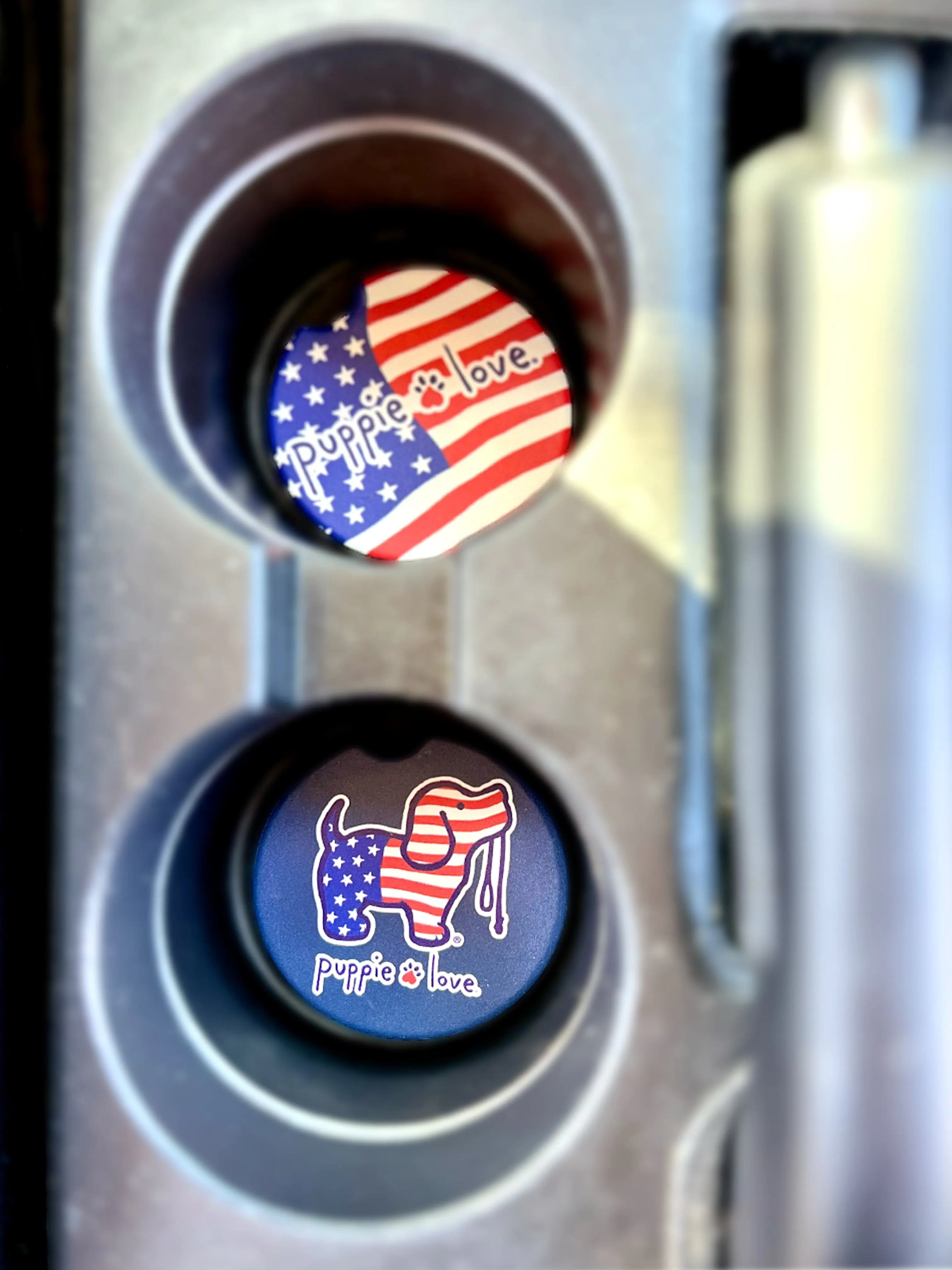 USA PUP CAR COASTER